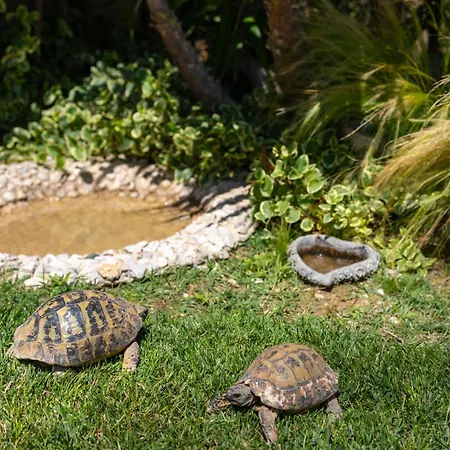 Sunny Garden Lux Апартаменти *