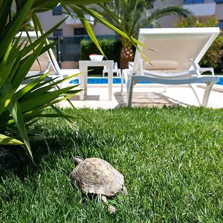 Sunny Garden Lux Спліт